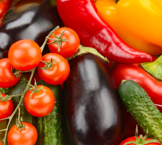 zicari, zicari greenhouse, zicari greenhouses, bedding plants, market, greenhouse dunnvile, ON, lowbanks, microgreens, garden vegetables, vegetable market, season vegetables