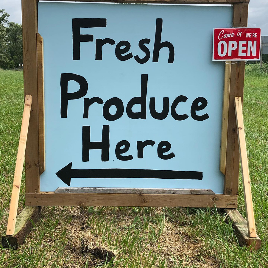 zicari, zicari greenhouse, zicari greenhouses, bedding plants, market, greenhouse dunnvile, ON, lowbanks, microgreens, garden vegetables, vegetable market, season vegetables