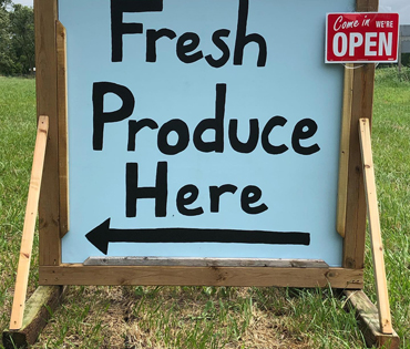 zicari, zicari greenhouse, zicari greenhouses, bedding plants, market, greenhouse dunnvile, ON, lowbanks, microgreens, garden vegetables, vegetable market, season vegetables