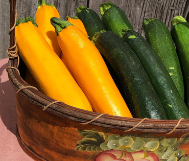 zicari, zicari greenhouse, zicari greenhouses, bedding plants, market, greenhouse dunnvile, ON, lowbanks, microgreens, garden vegetables, vegetable market, season vegetables