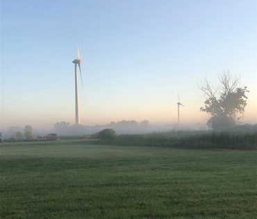 zicari, zicari greenhouse, zicari greenhouses, bedding plants, market, greenhouse dunnvile, ON, lowbanks, microgreens, garden vegetables, vegetable market, season vegetables