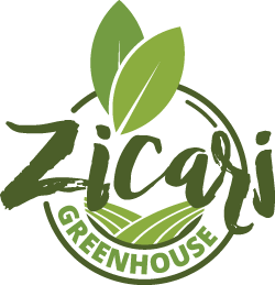 zicari, zicari greenhouse, zicari greenhouses, bedding plants, market, greenhouse dunnvile, ON, lowbanks, microgreens, garden vegetables, vegetable market, season vegetables